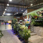 Gayang Seafood Restaurant, Sulaman Tuaran, Sabah. - Kota Kinabalu