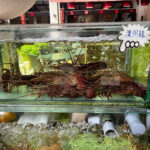 Putumayo Restaurant 复古海滨餐厅 - Pulau Langkawi