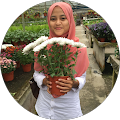 Bella Nazim Bella Nazim