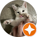 Marcus Meow Marcus Meow