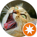 Naddy (Naddy & Her Cats) Naddy (Naddy & Her Cats)